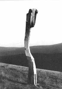 Shape with a Mark (8kB)